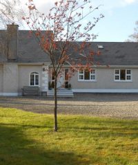Birchdale House Bed and Breakfast Wicklow