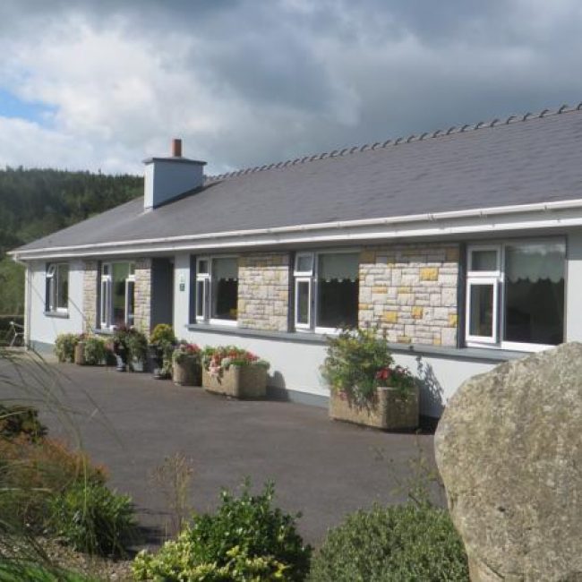 Dawn House Bed and Breakfast Waterford