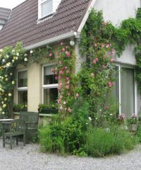 Gormagh Bed and Breakfast Offaly