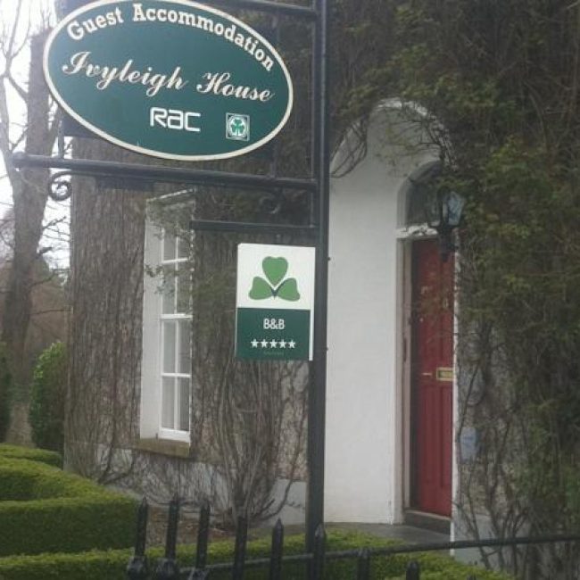Ivyleigh House Laois Bed and Breakfast