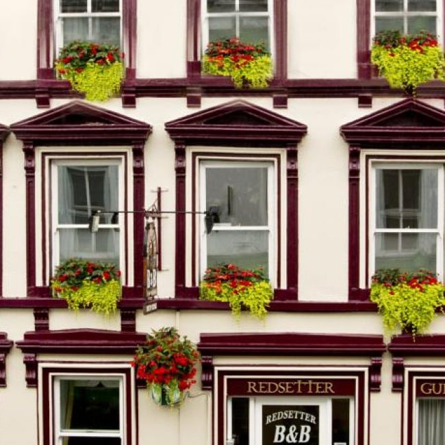 Red Setter Townhouse Bed and Breakfast Carlow