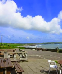 The Blue Horizon Bed and Breakfast Garrettstown